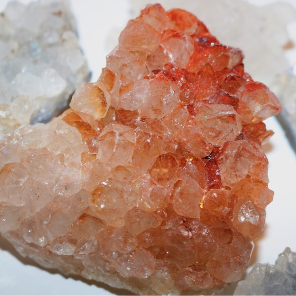 Meet your Posher, Brianna - Picture 2 of 2